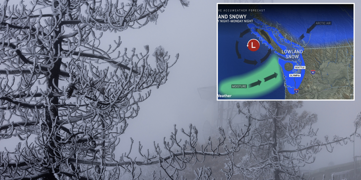 NextImg:US weather: California to be hit with five feet of snow as tropical moisture crashes into Arctic air