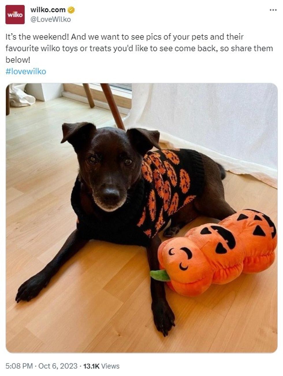 Wilko asks customers what products they’d like to see return as final