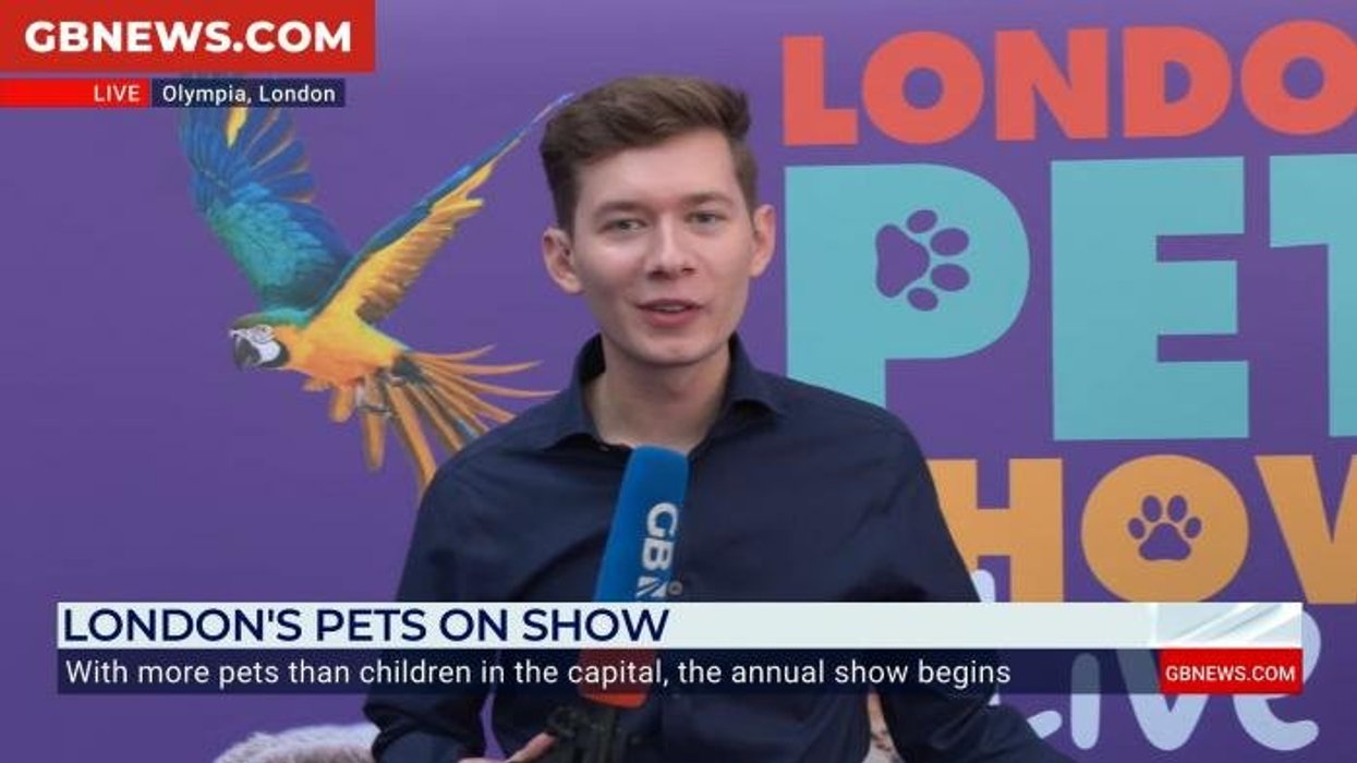 Aldi brings out 13 'must-haves' for pet owners this autumn/winter – but you've got to act fast