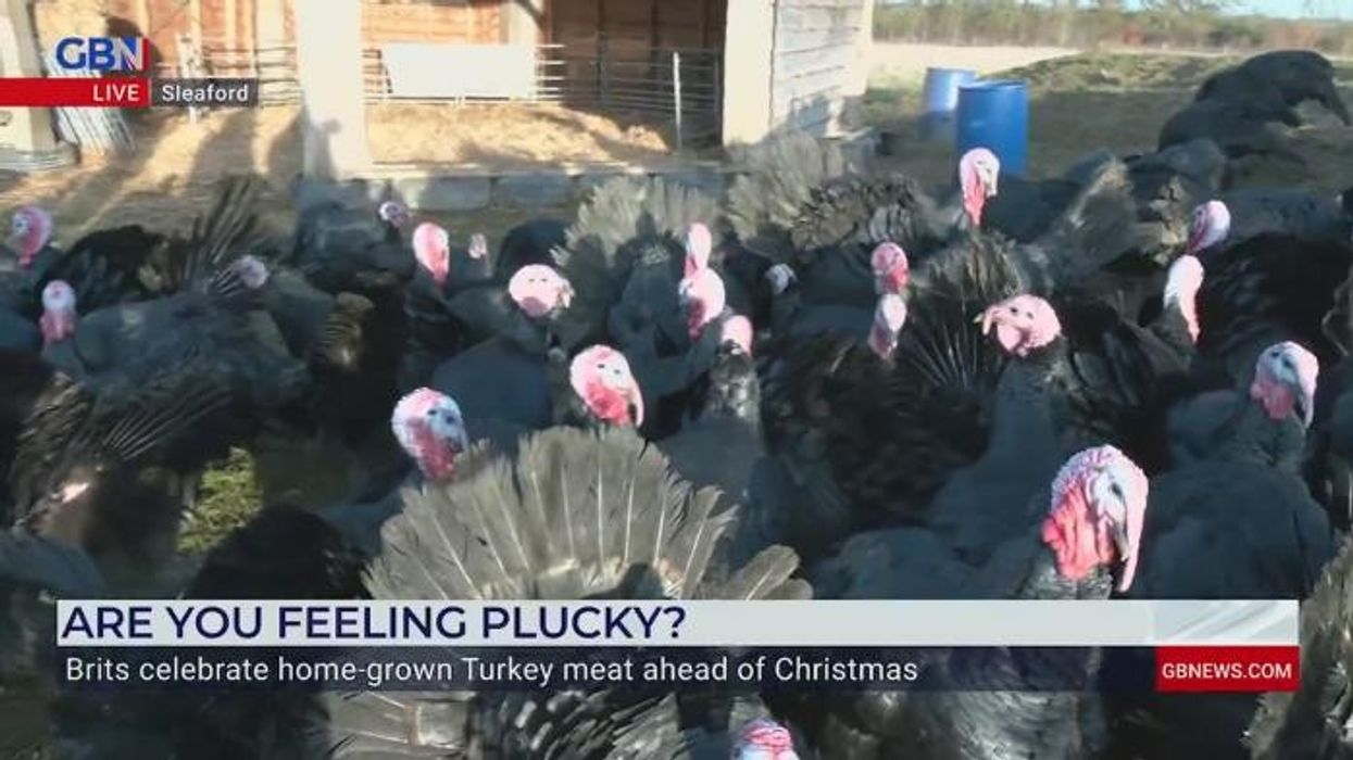 Farmers urging Britons to avoid supermarkets and ‘buy my turkey’ directly this Christmas