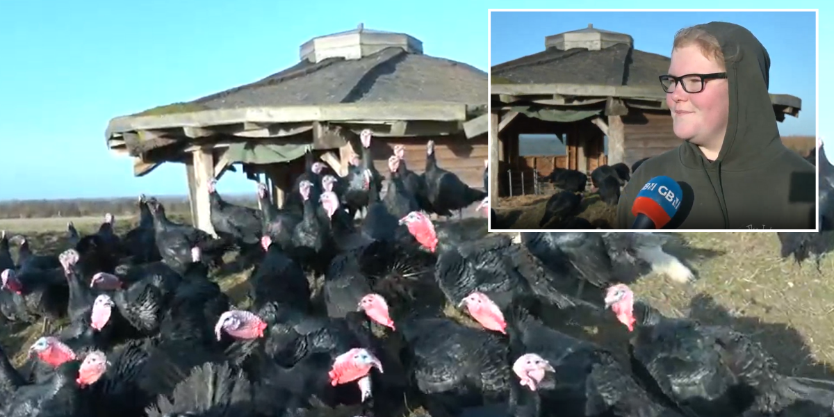 NextImg:Farmers urging Britons to avoid supermarkets and ‘buy my turkey’ directly this Christmas