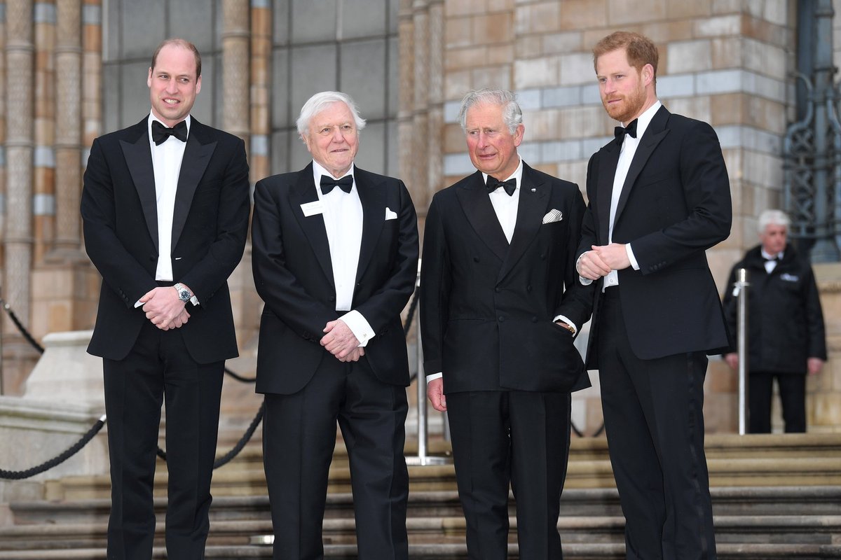 William, Harry, King Charles, David Attenborough