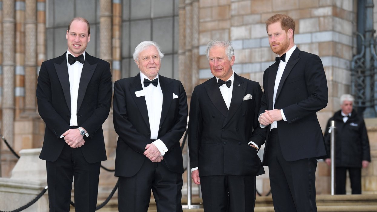 William, Harry, King Charles, David Attenborough