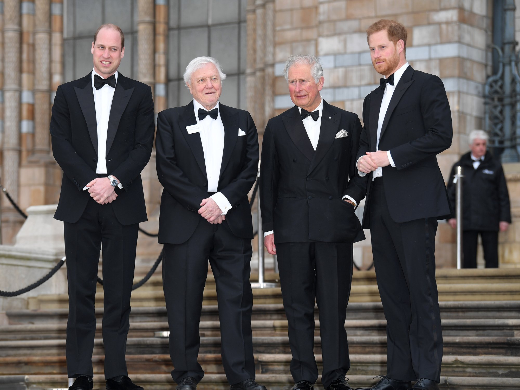William, Harry, King Charles, David Attenborough