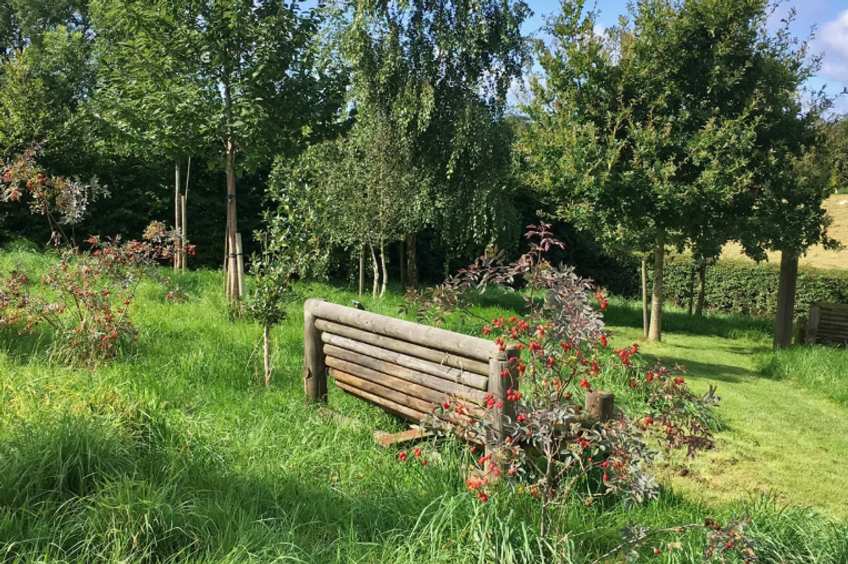 Willows Natural Burial Ground