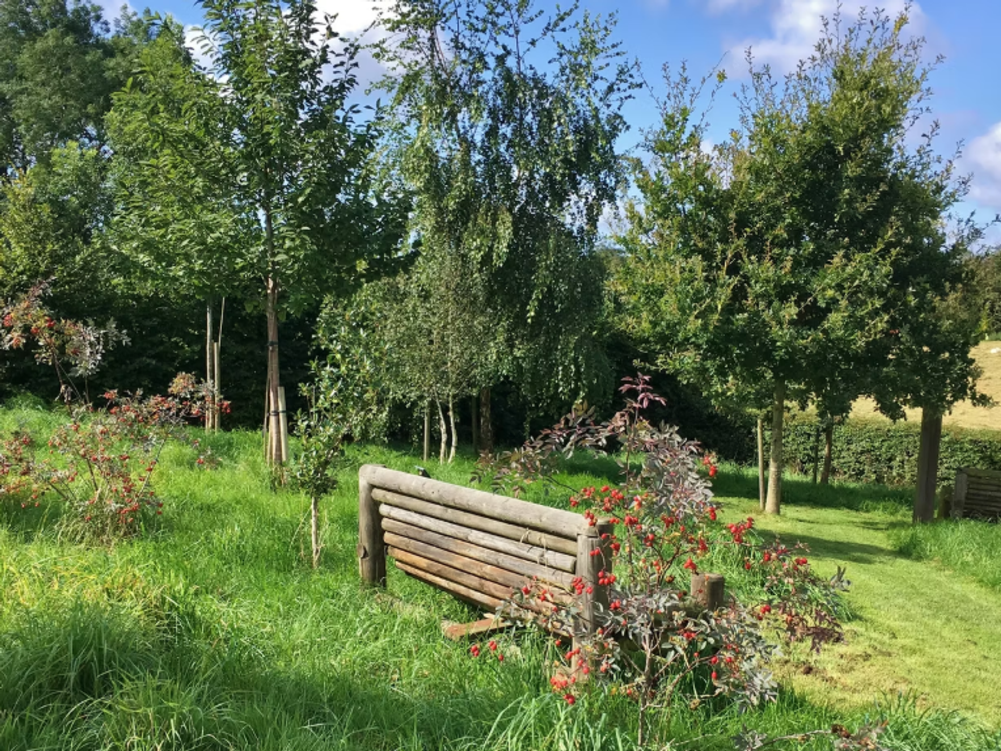 Willows Natural Burial Ground