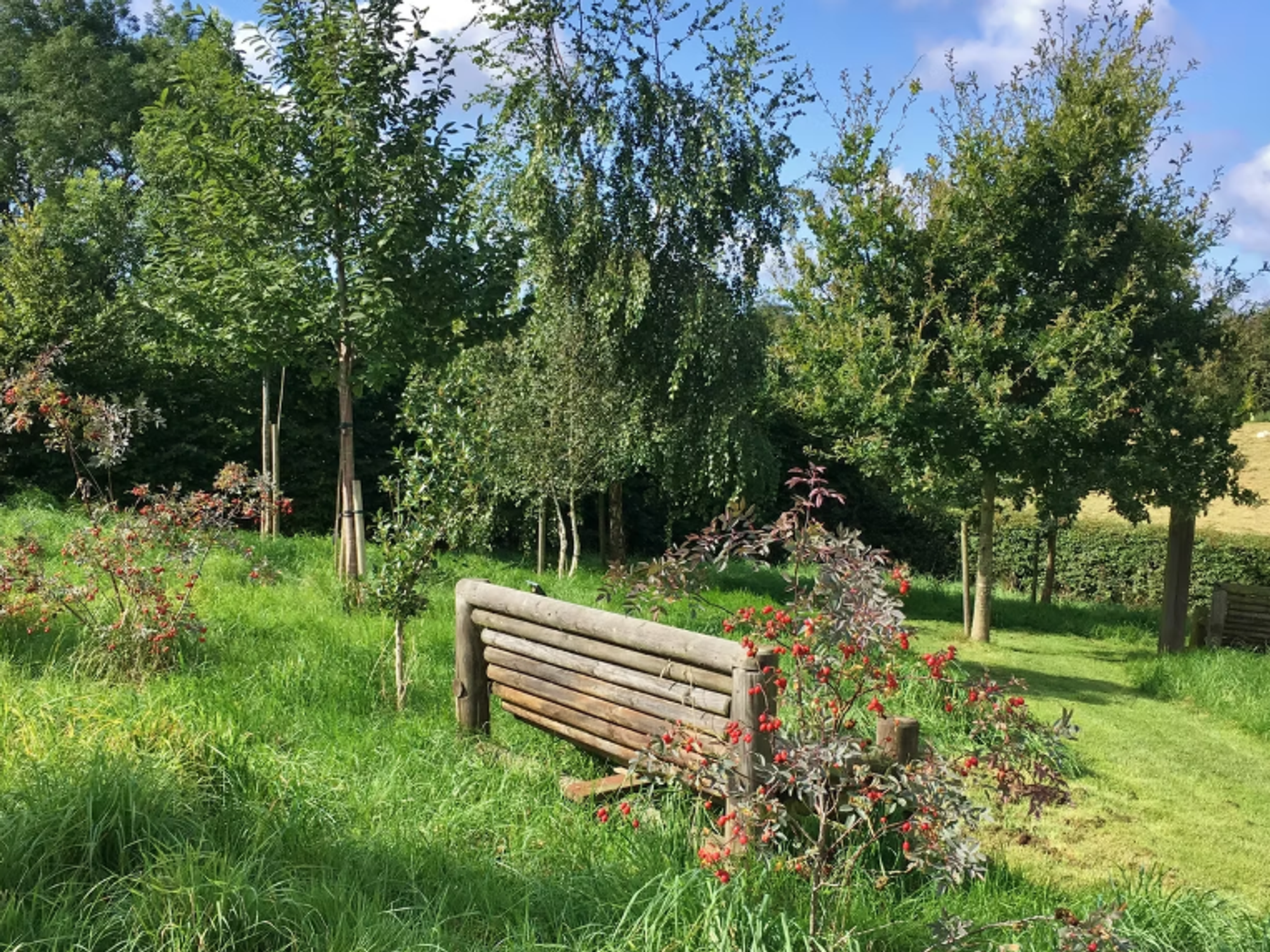 Willows Natural Burial Ground
