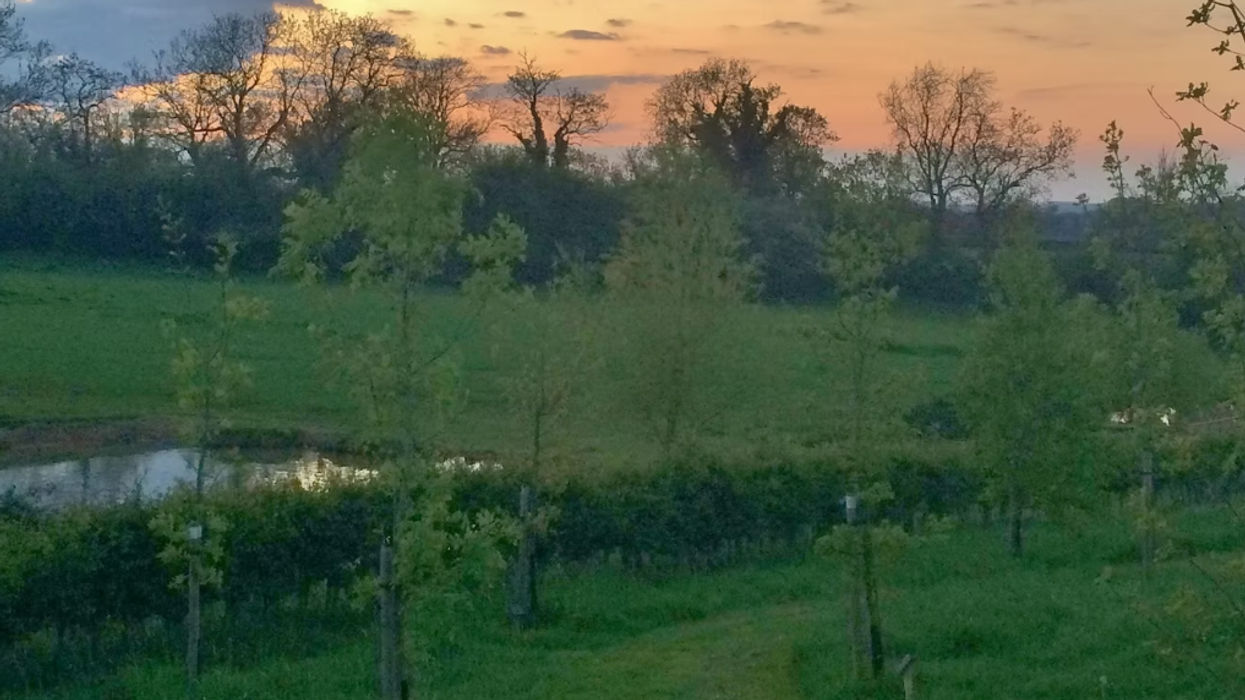 Willows Natural Burial Ground