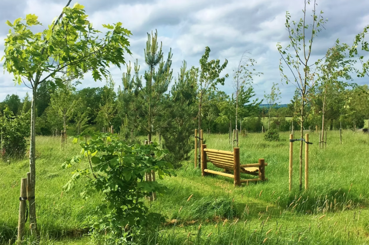 Willows Natural Burial Ground