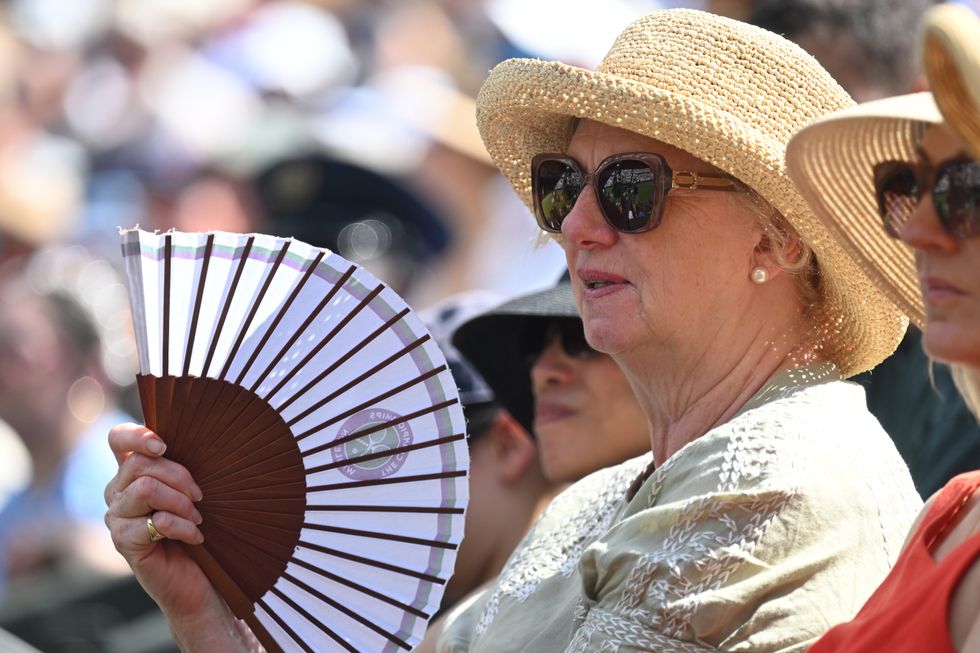 Wimbledon fan