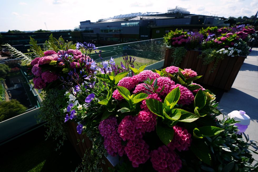 Wimbledon