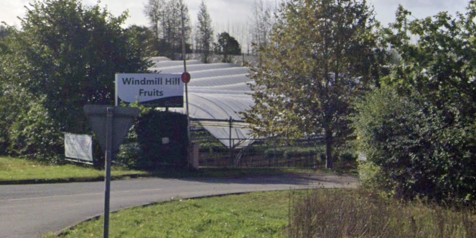 Windmill Hill fruits farm