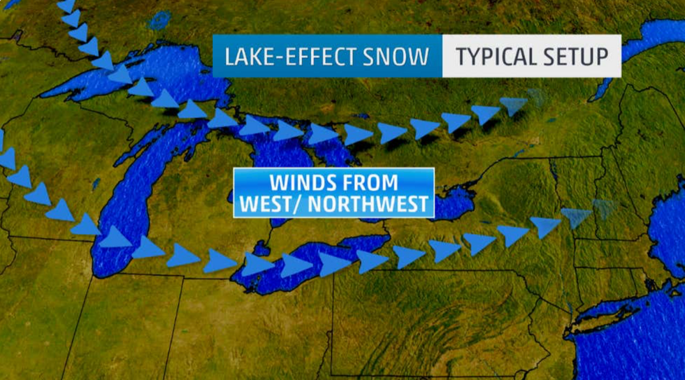 Winds forecast
