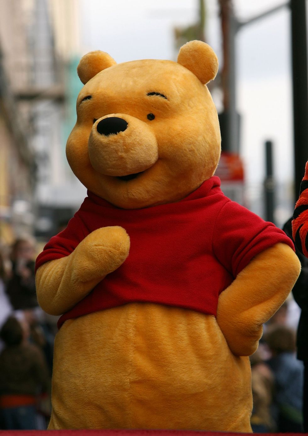 Winnie-the-Pooh