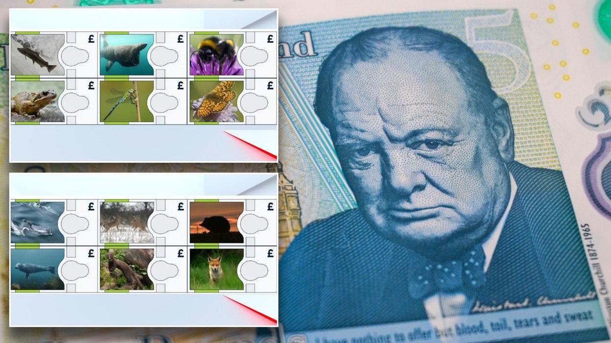 Winston Churchill on bank note and wildlife alternative