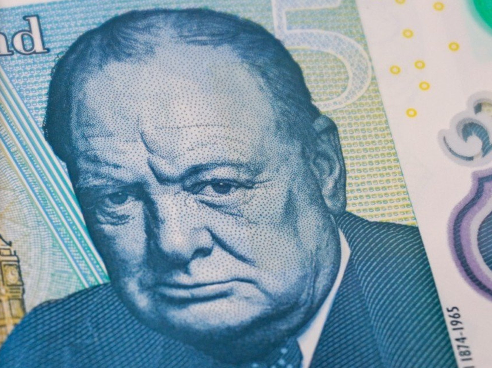 Winston Churchill on bank note and wildlife alternative