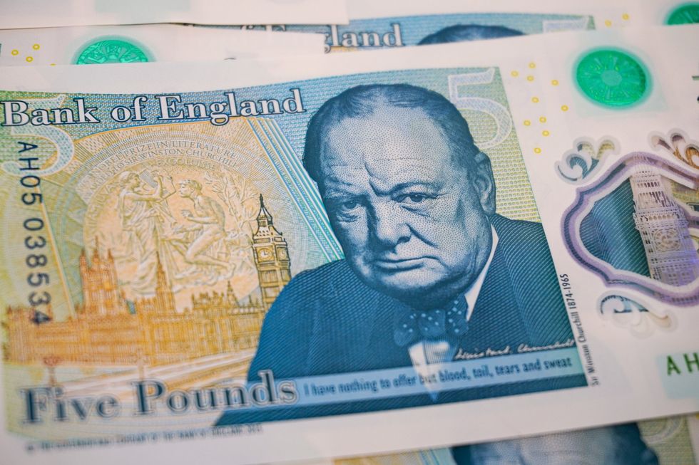 Winston Churchill on bank note and wildlife alternative