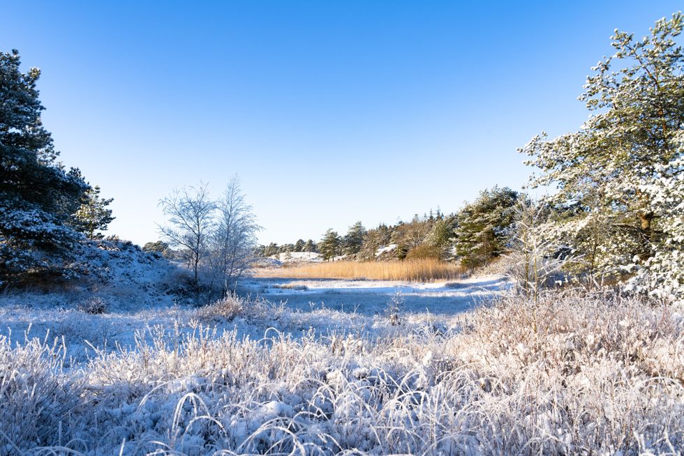 Winter scene in Billund, Denmark