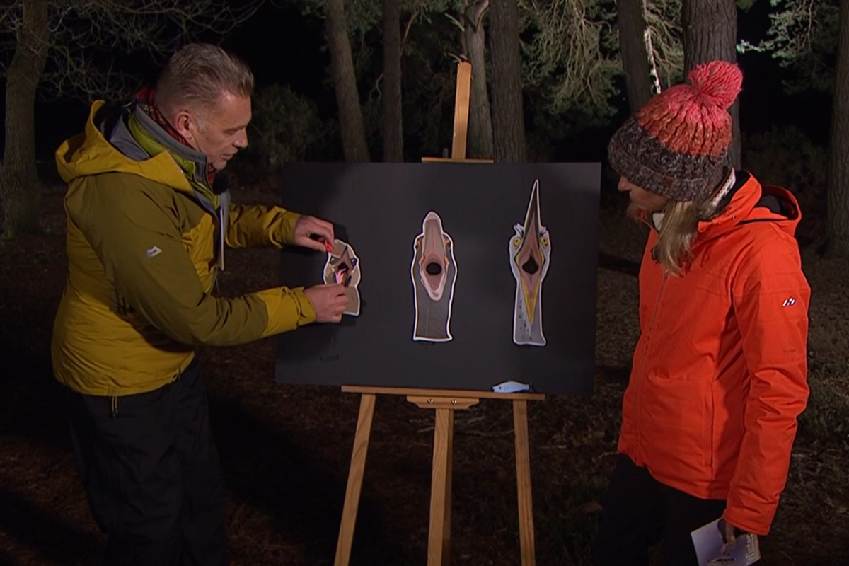 Winterwatch