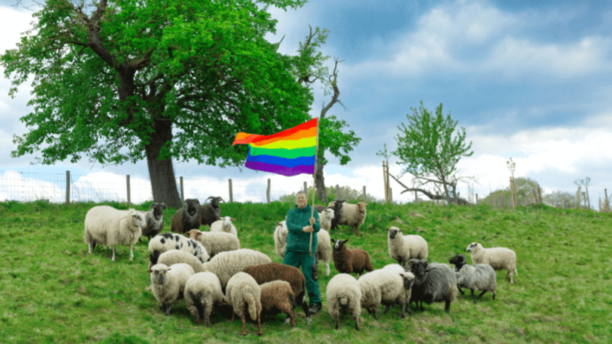 Woke fashion show includes wool of gay sheep as part of collection campaigning to save animal slaughter