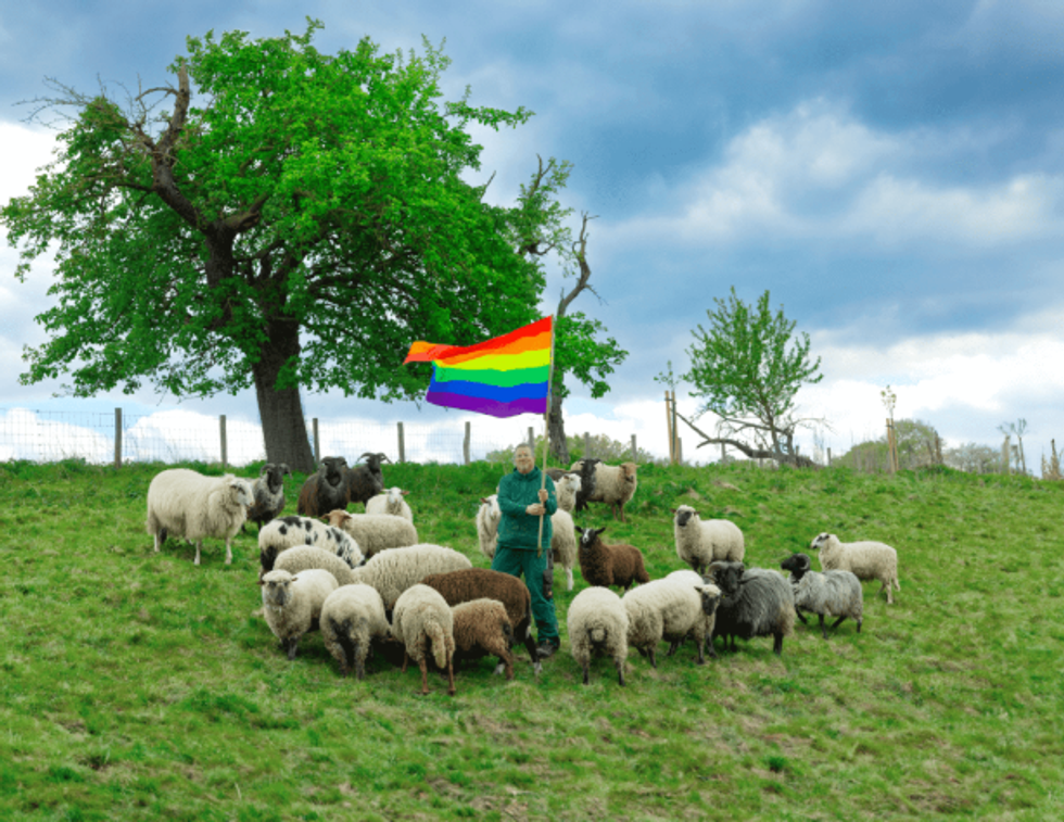 Woke fashion show includes wool of gay sheep as part of collection campaigning to save animal slaughter