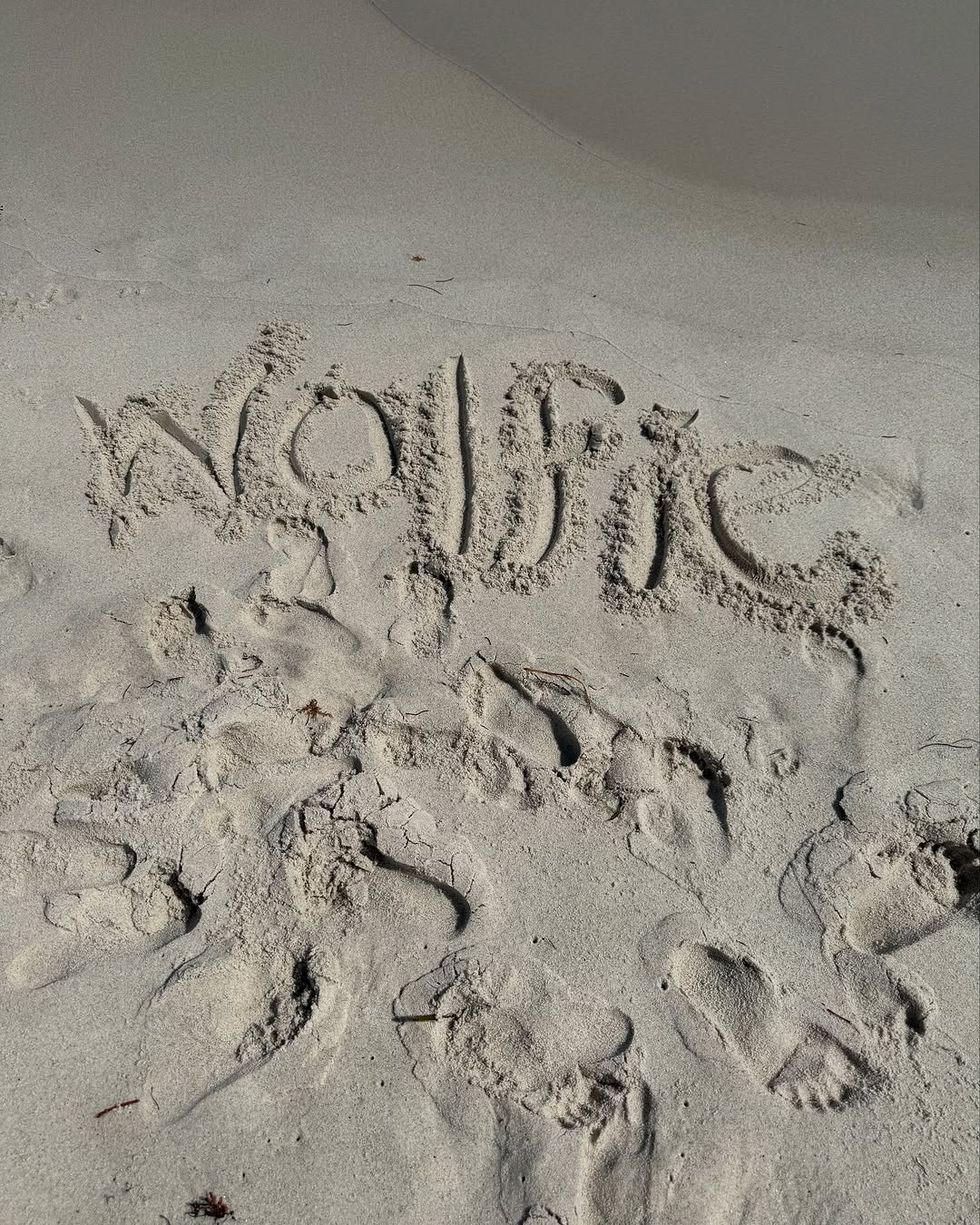 Wolfie