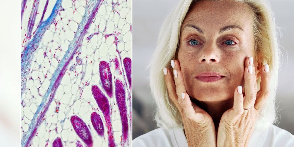 ‘I’m a GP – this food is breaking down your collagen and robbing you of a dewy complexion’ ‘I’m a GP – this food is breaking down your collagen and robbing you of a dewy complexion’