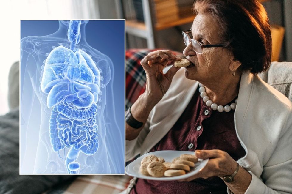 woman eating and digestive health illustration