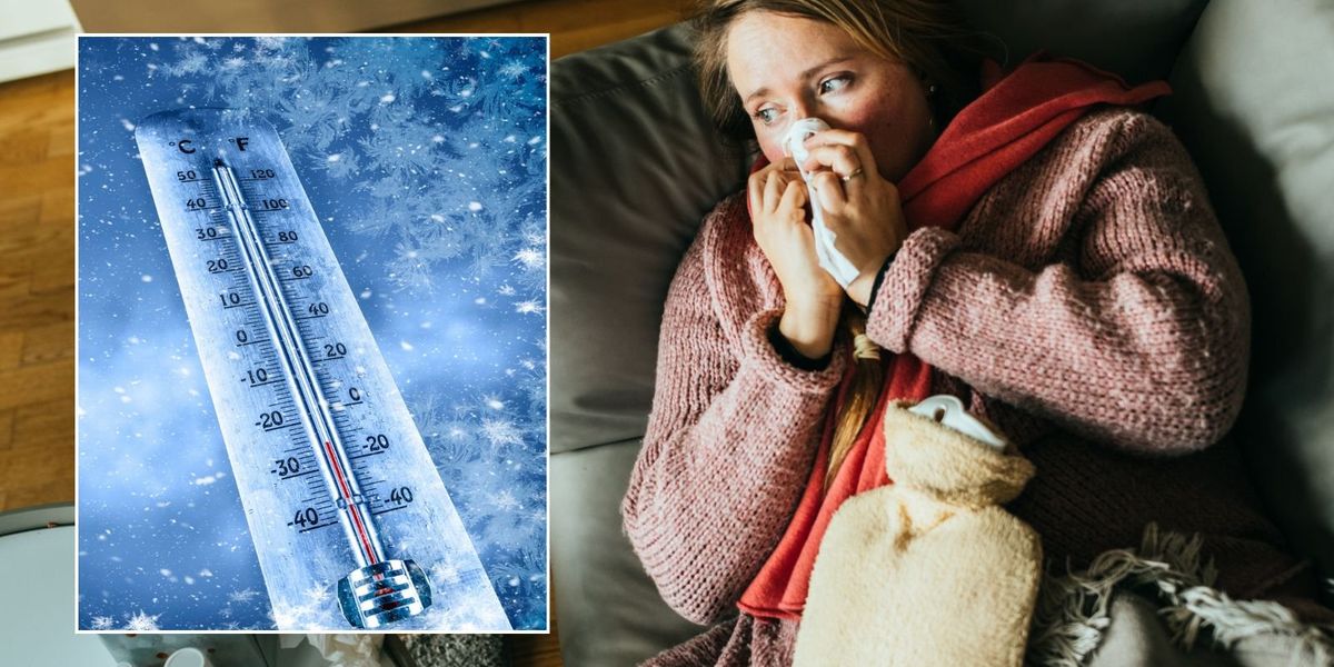 Britons told to check DWP energy bill support eligibility as temperatures plummet Britons told to check DWP energy bill support eligibility as temperatures plummet