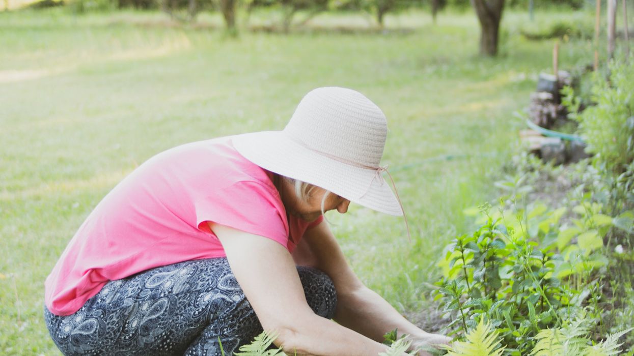 Woman gardening in garden
