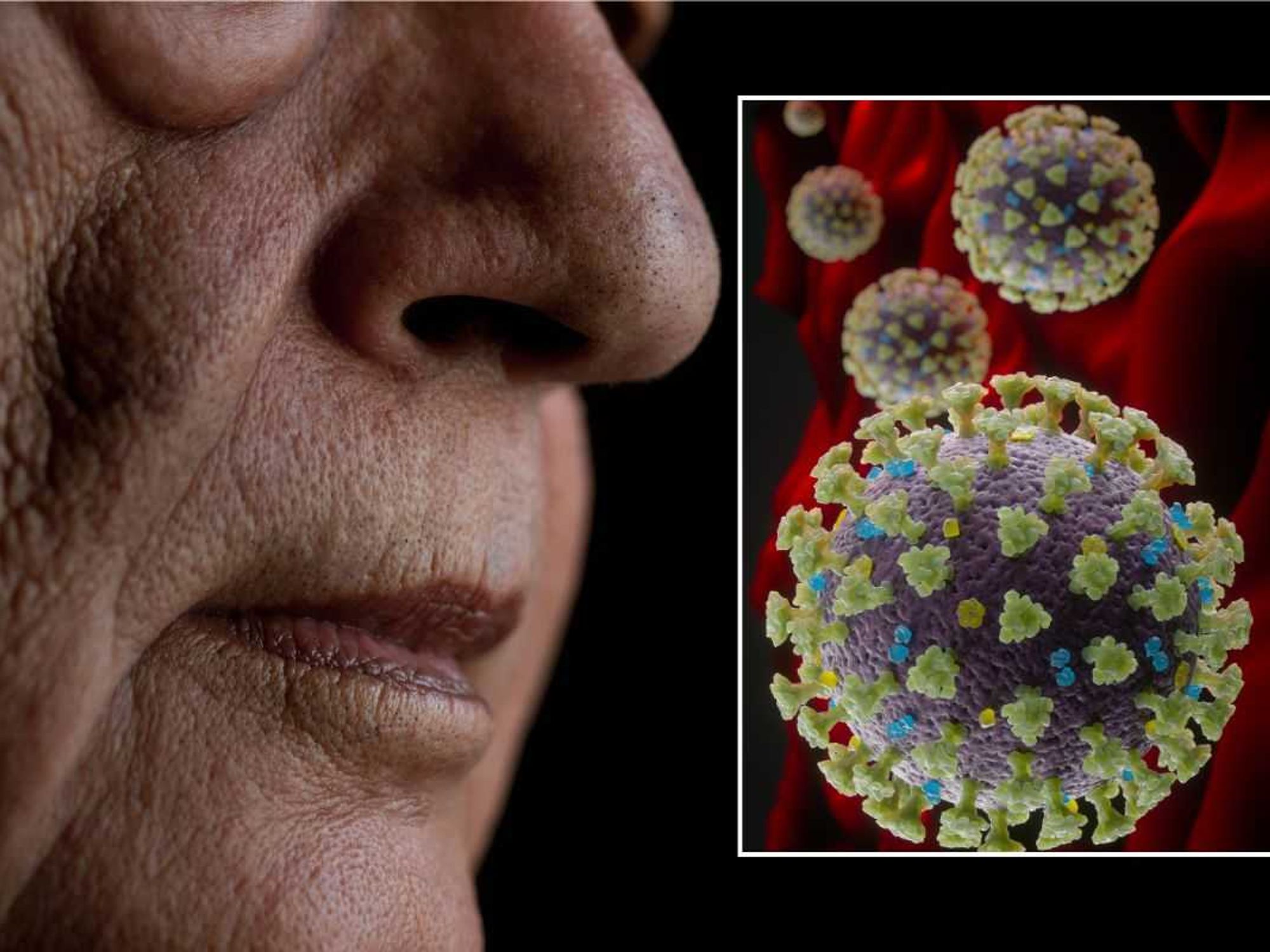 WOMAN HOLDING COVID TEST