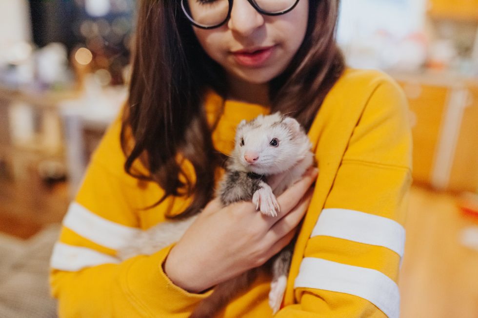 Uma mulher segurando seu furão de estimação