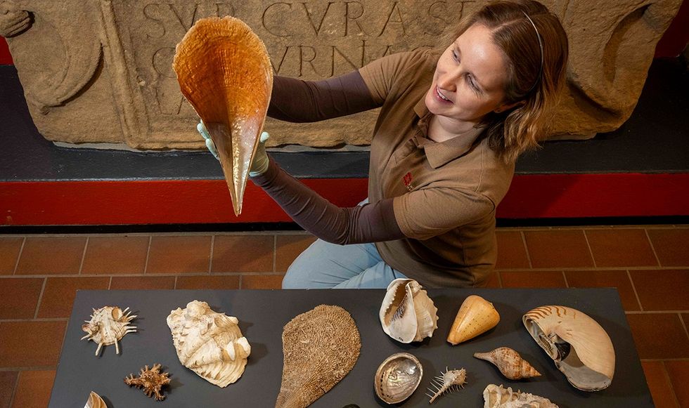 Woman holding up a shell