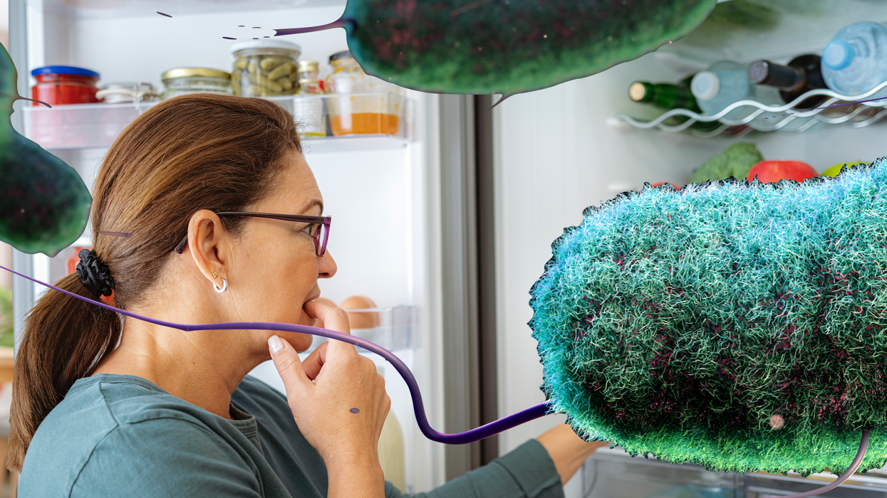 Woman inspecting her fridge covered in E.coli