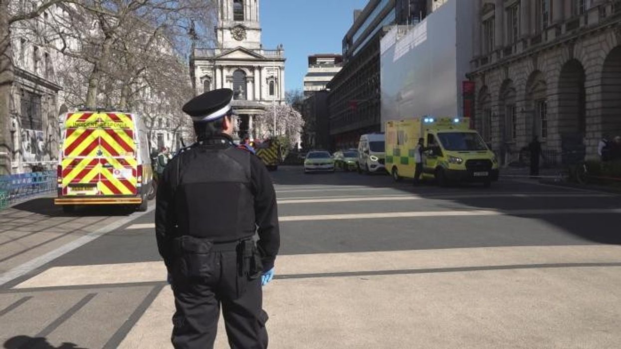 Police launch urgent search operation after schoolgirl, 11, 'falls into River Thames'