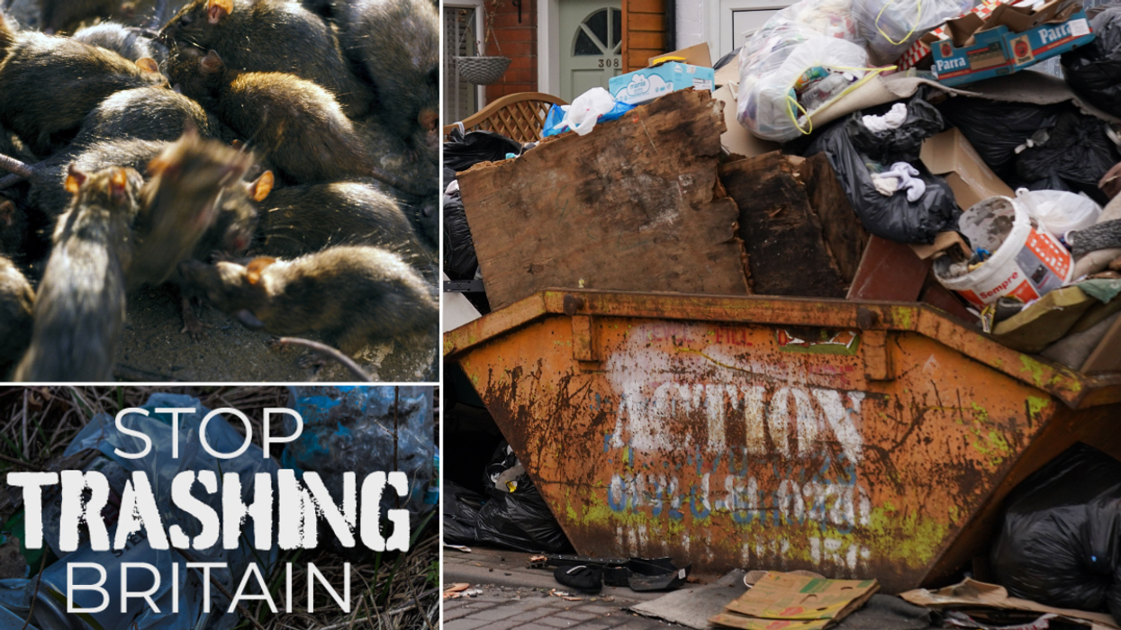 Woman left stranded after 'rats size of cats' gnaw through car's wiring amid Birmingham bin strike