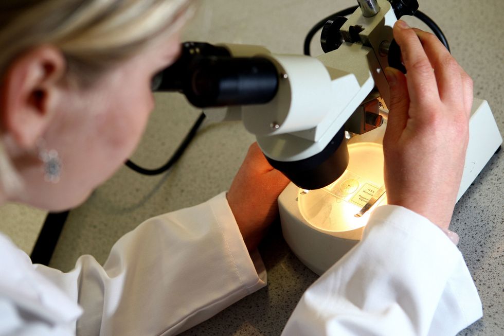 Woman looking through a microscope