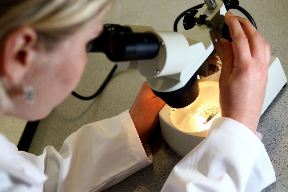 Woman microscope