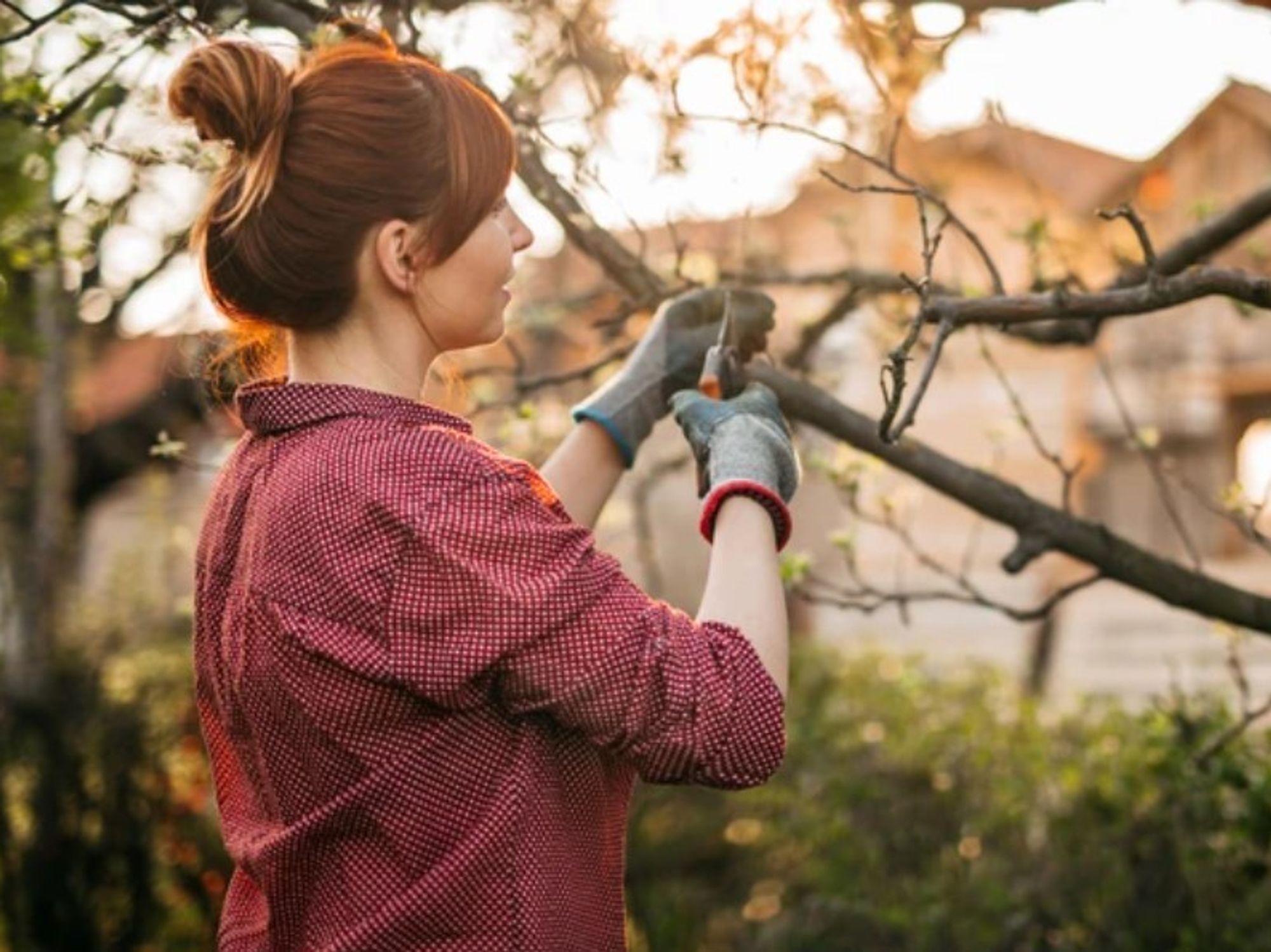Woman pruning
