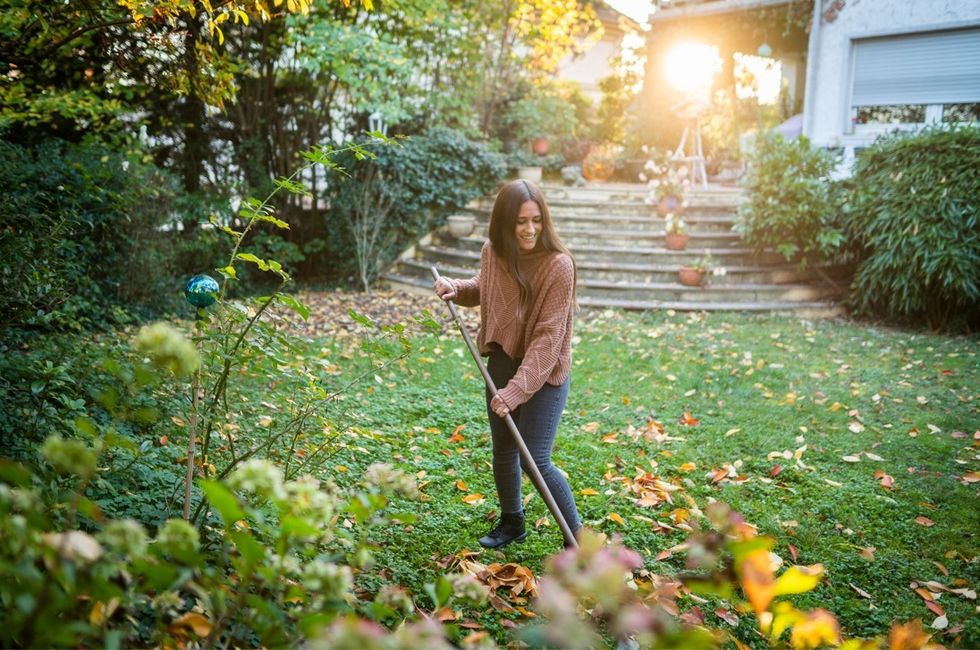 Woman raking grass in garden