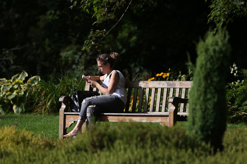 Woman reading on a bench in the sun