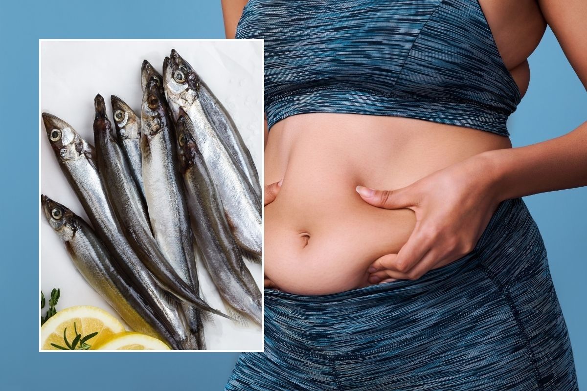 Woman's body fat and herring