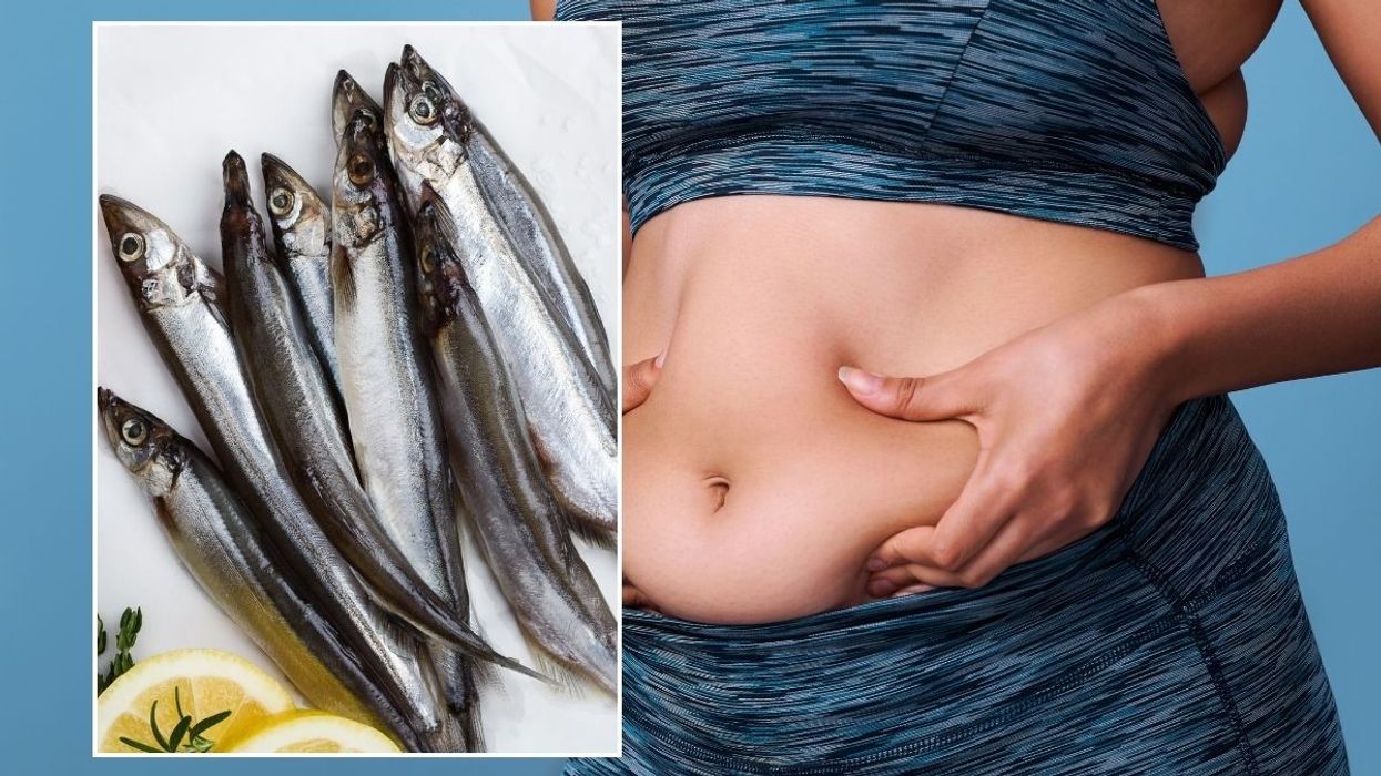 Woman's body fat and herring
