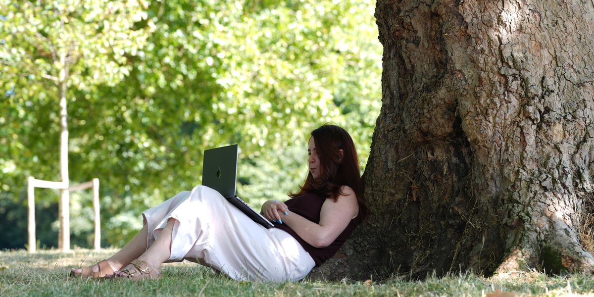 NextImg:Park-goers told NOT to sit under trees over 'health and safety concerns'