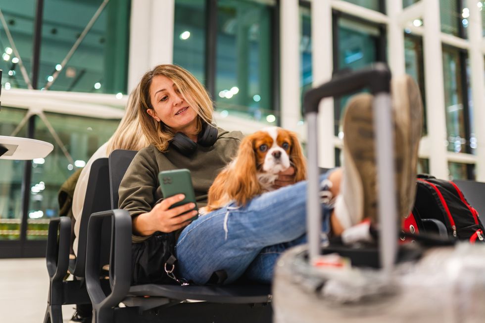 Woman waiting for her flight with dog on her lap