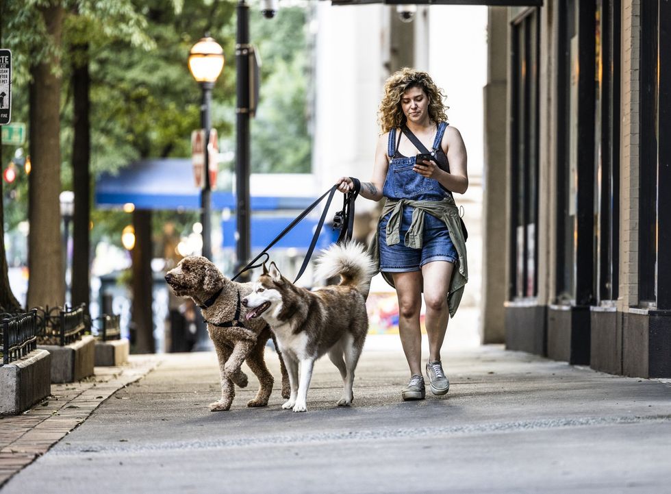 Woman walking dogs