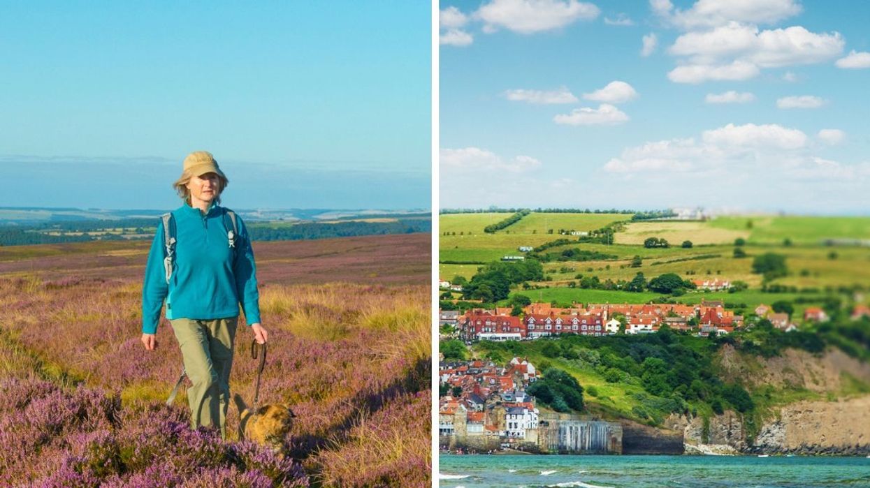 Woman walking in the North York Moors / Robin Hood's Bay