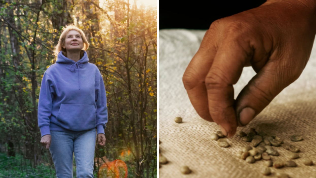 Woman walking through the forest next to seeds