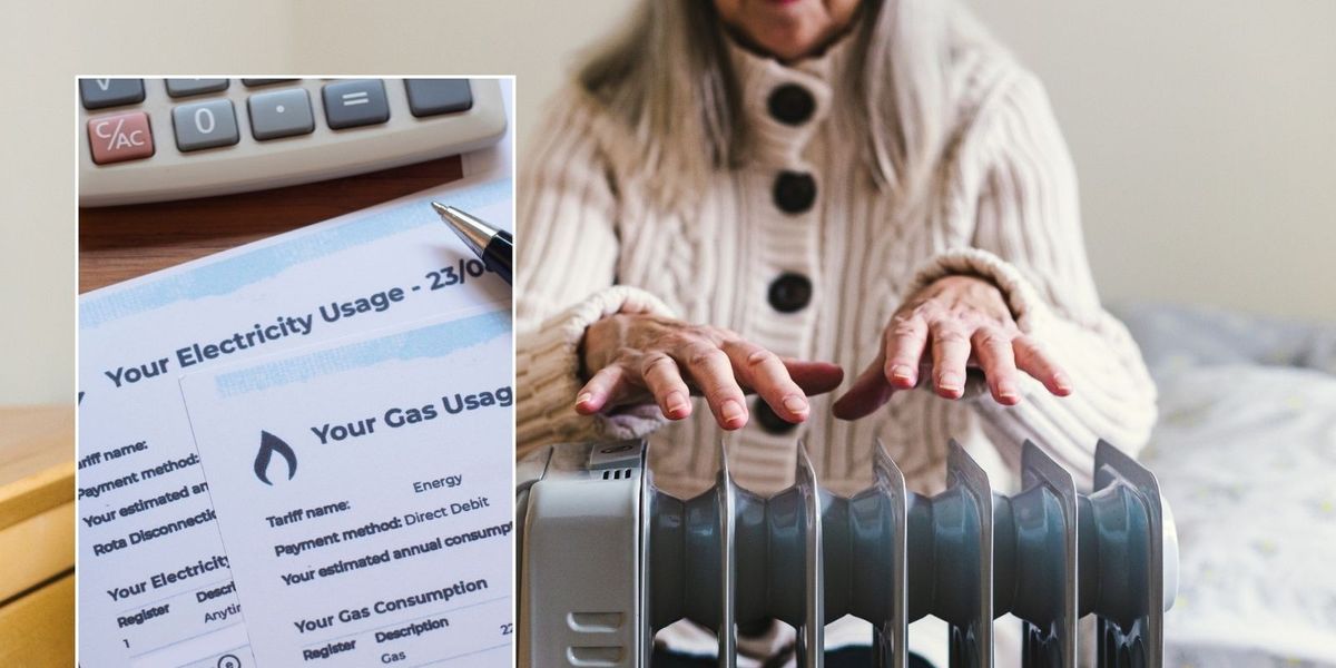 NextImg:Millions of pensioners to lose £300 energy bill support - how to protect your Winter Fuel Payment