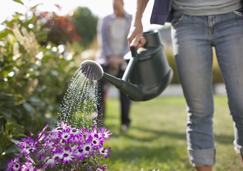 Woman watering flowers in the garden